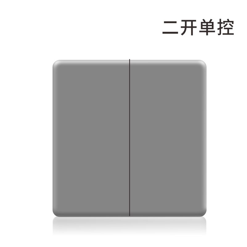 S3极薄灰-二位单控
