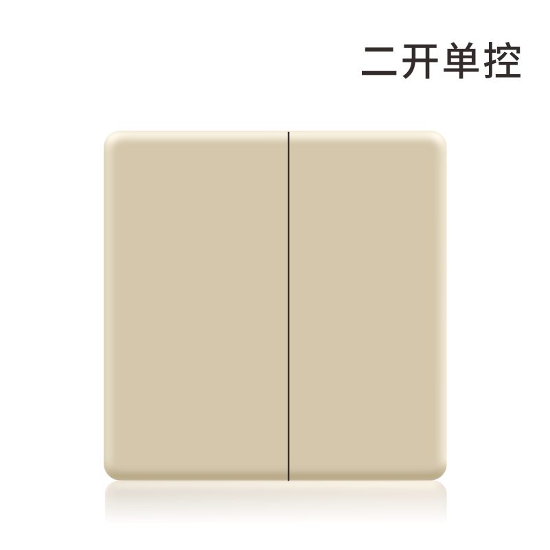 S3极薄金-二位单控