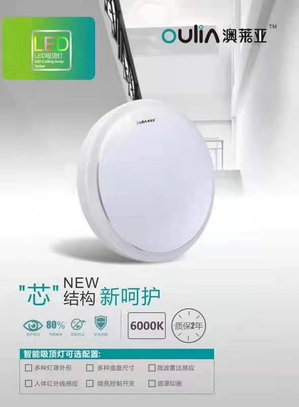 澳莱亚 三防吸顶灯20W