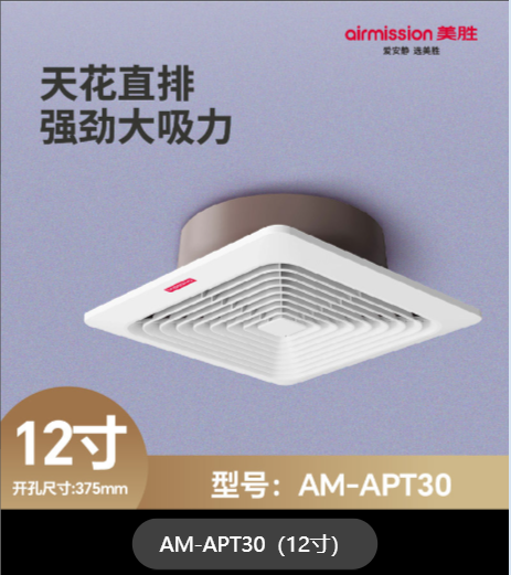 天花扇AM-APT30-12寸
